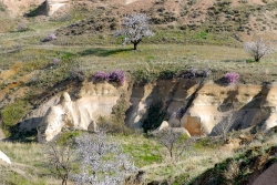 Rock Formations of Cappadocia turkey 054