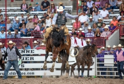 Rodeo action at the Cheyenne Frontier Days