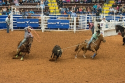 rodeo-competition-at-the-star-of-texas-fair-and-rodeo