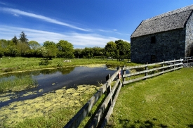 Rural farm in Ireland