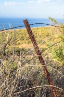 rusted wrie fence along california coast
