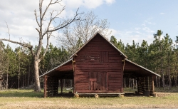Rustic cabin near Cary Georgia