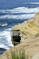 sand cliffs along the shore of la jolla with seals in the ocean