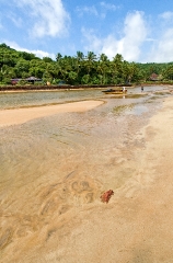 Sandy Beach Goa India