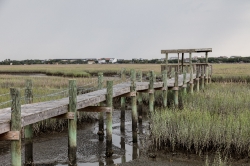 scene on marshy pawleys island a barrier island in south carolin