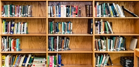 school library shelves with books