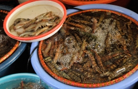 Shrimp Outdoor Market Hanoi