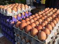 Stacks of cartoons with organic eggs ready for sale