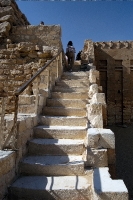 stairs-to-step-pyramid-egypt-image-1296a