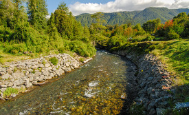 stream flowing in lush area of chile