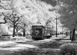 Streetcar on St  Charles Avenue in New Orleans