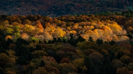 Sunrise reveals fall colors in massachusetts