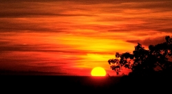 Sunset at Bakheng Hill Cambodia