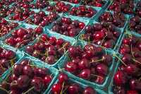 Sweet cherries in baskets for sale