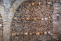 Thousands of human bones and skulls