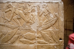 tomb-bas-relief-hieroglyphs-sakkara-photo-image-1186