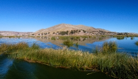 tortora reeds lake titicaca photo 0013a
