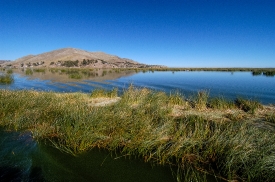tortora reeds lake titicaca photo 0016a