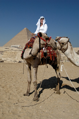 tourist riding a camel near great pyramids cairo egypt