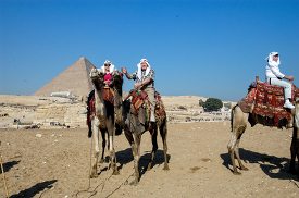 tourist riding camels near pyramids egypt-1777