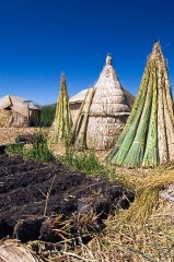 traditional reed huts lake titicaca photo 116