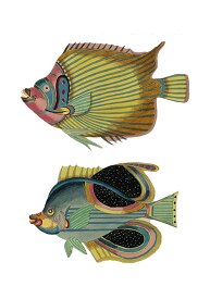 two colorful whimsical fish illustrated clipart
