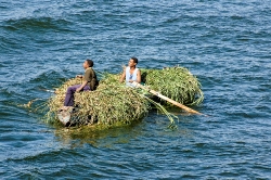 two men on row boat on nile river filled with reeds_6108a