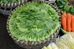 Vegetable Leaves Arranged In A Wicker Basket Shangha China Photo
