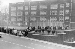 voting lines 1964 November 11 cardoza high school