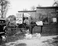 voting sign on horse and buggie