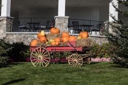 Wagon filled pumpkins