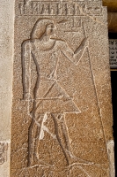 wall-carvinbs-saqqara-ancient-egypt-photo-image-1168