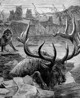 wapiti with wolves animal historical illustration