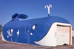 whale car wash oklahoma city oklahoma