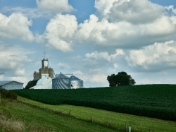 white billowing clouds over an Amish farm in Iowa