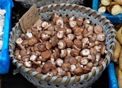 Wicker Basket Full Of Mushrooms At Market Photo Image