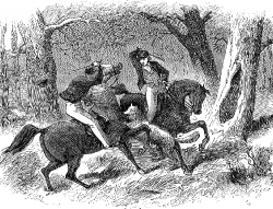 Wolf Attacking Its Hunters Historical Illustration