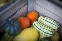 Wooden cart with variety of fall squash