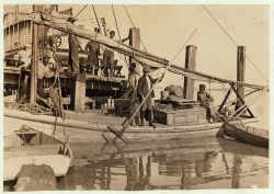 young oyster fisherman Apalachicola Florida 1909