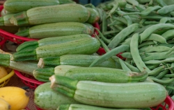 Zucchini harvest at market