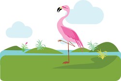 pink flamingo standing near greenery and lake area clipart