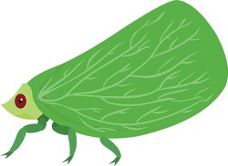 plant hopper insect clipart