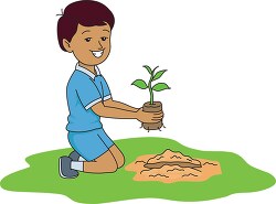 planting a new seedling in the ground