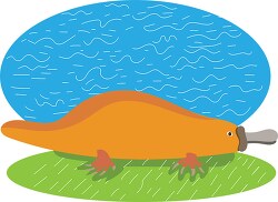 platypus illustration vector