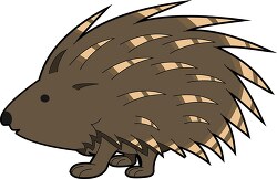 porcupine brown small with quills