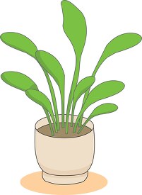potted house plant clipart