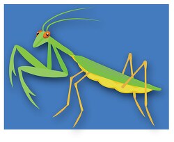 praying mantis insect blue backgroud clipart