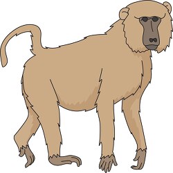 primage baboon clipart