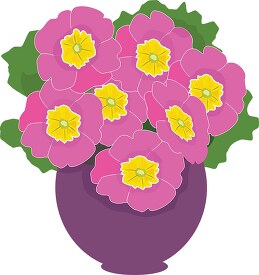 primrose flowers in a vase clipart