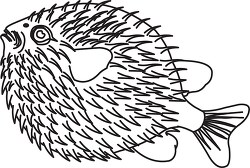 puffer fish black outline clipart